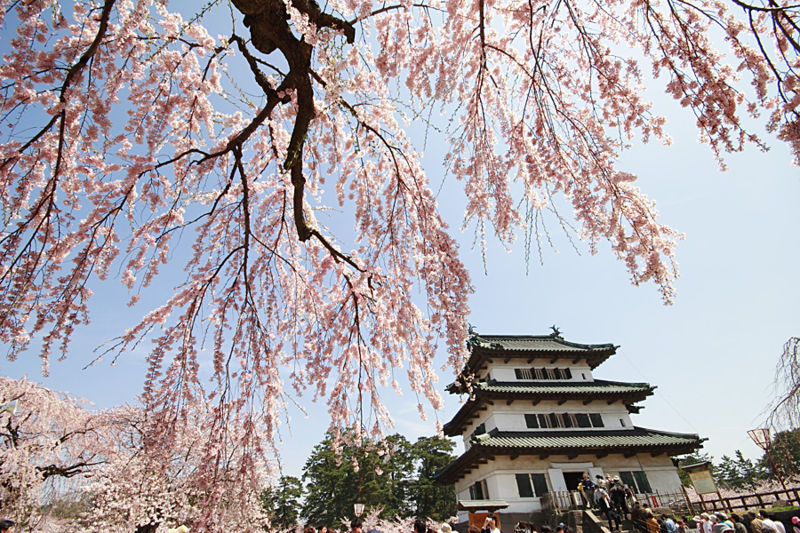 7HIROSAKI CASTLE